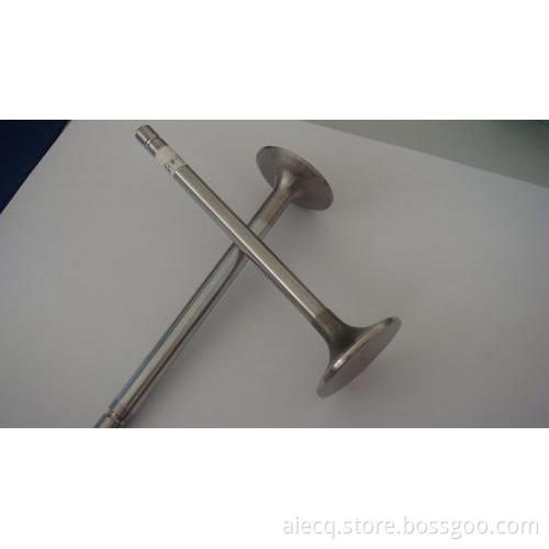 Auto engine valves Non-magnetic and magnetic
